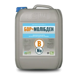 БОР+МОЛІБДЕН