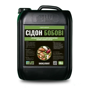 СІДОН (БОБОВІ)