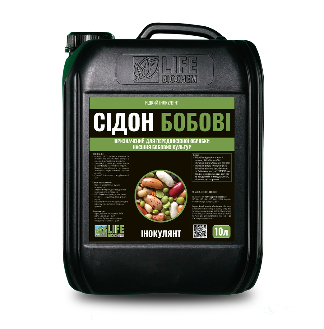 СІДОН (БОБОВІ)